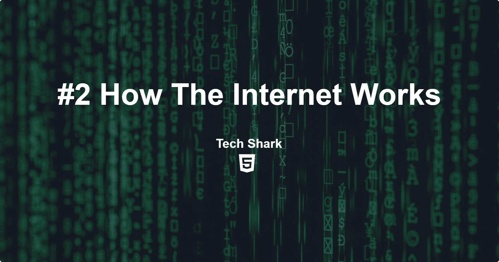 #2 How the Internet Works